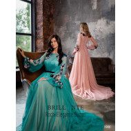  Rochia eleganta 1900