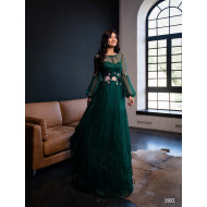  Rochia eleganta 1903