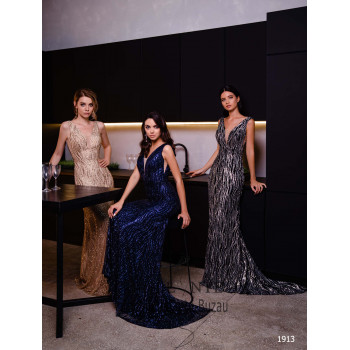 Rochia eleganta 1913