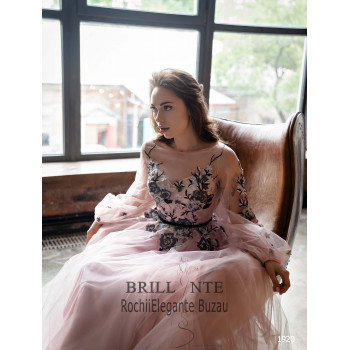 Rochia eleganta 1920