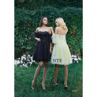 Rochia eleganta 1527 Rochia eleganta 1527