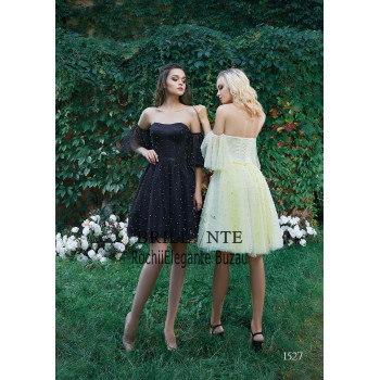 Rochia eleganta 1527