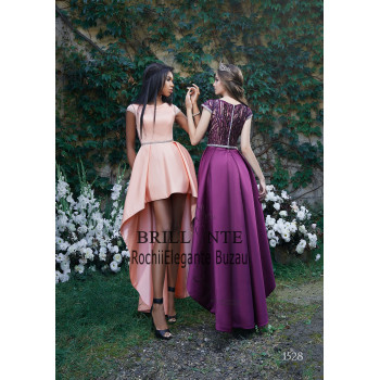 Rochia eleganta 1528