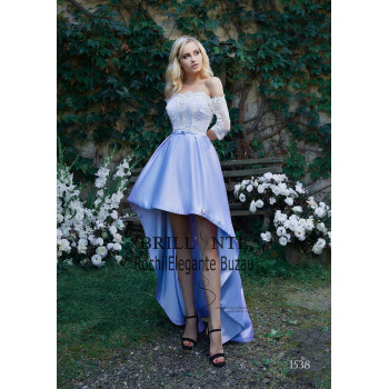 Rochia eleganta 1538