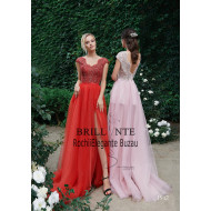 Rochia eleganta 1542 Rochia eleganta 1542