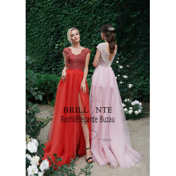 Rochia eleganta 1542