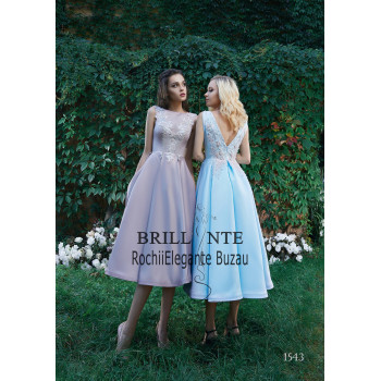 Rochia eleganta 1543