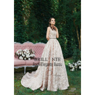 Rochia eleganta 1558 Rochia eleganta 1558